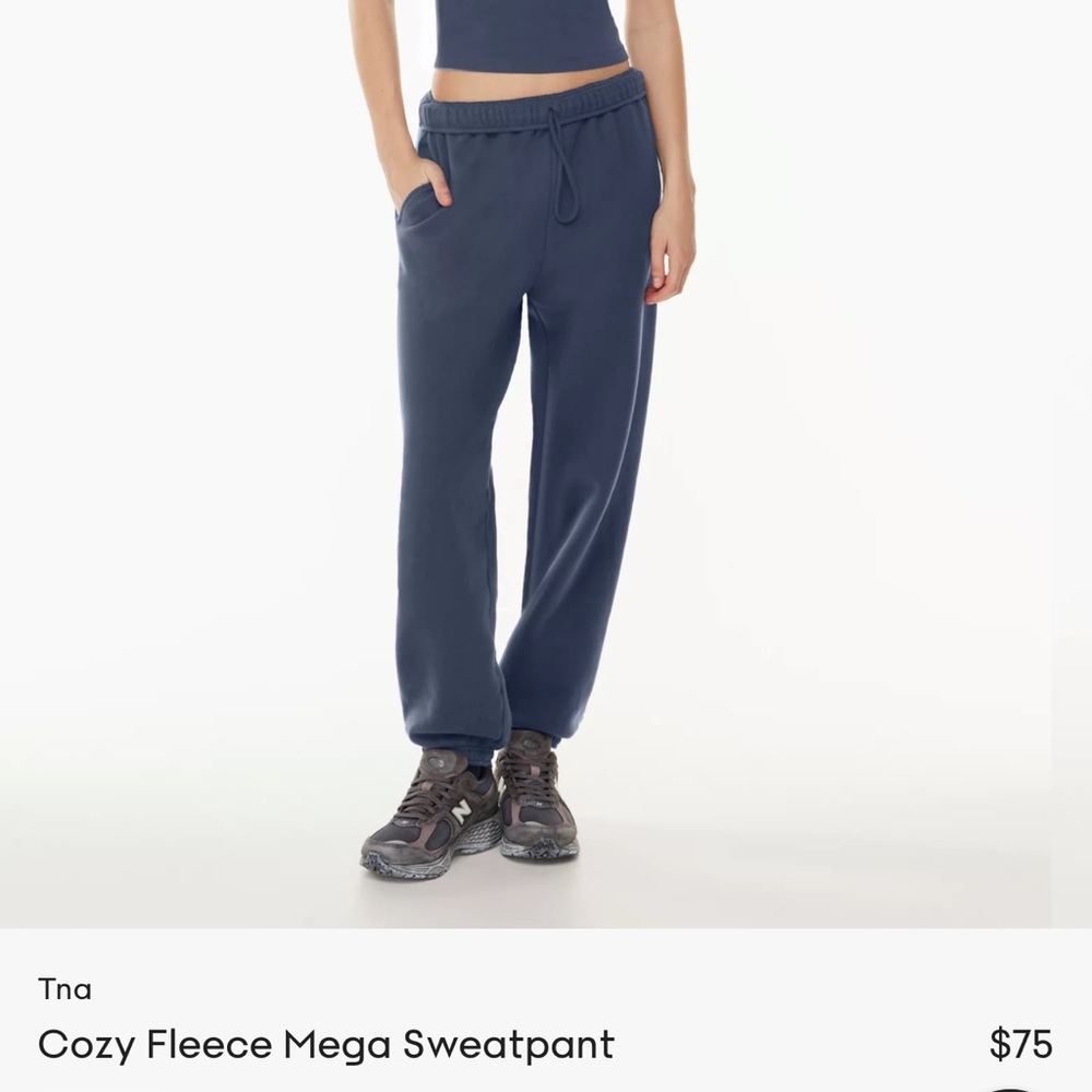NWT Aritzia mega sweatpants
